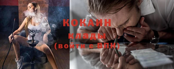 амф Богданович