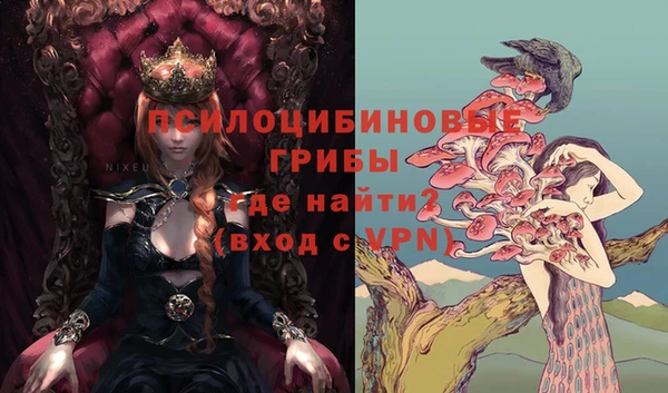 эйфоретик Осинники