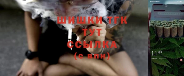 прущий лед Богородицк