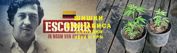 MESCALINE Богородск
