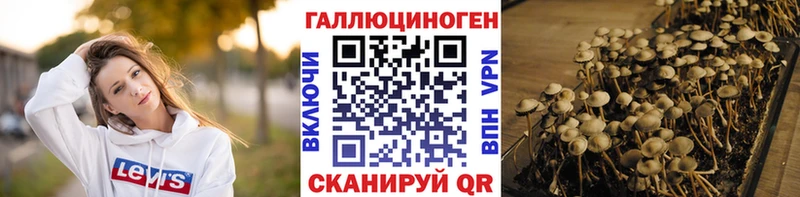 Псилоцибиновые грибы Psilocybe  Бутурлиновка 